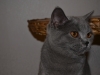 20131213-051-jpg