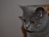 20131213-052-jpg
