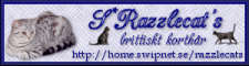 RazzleCats